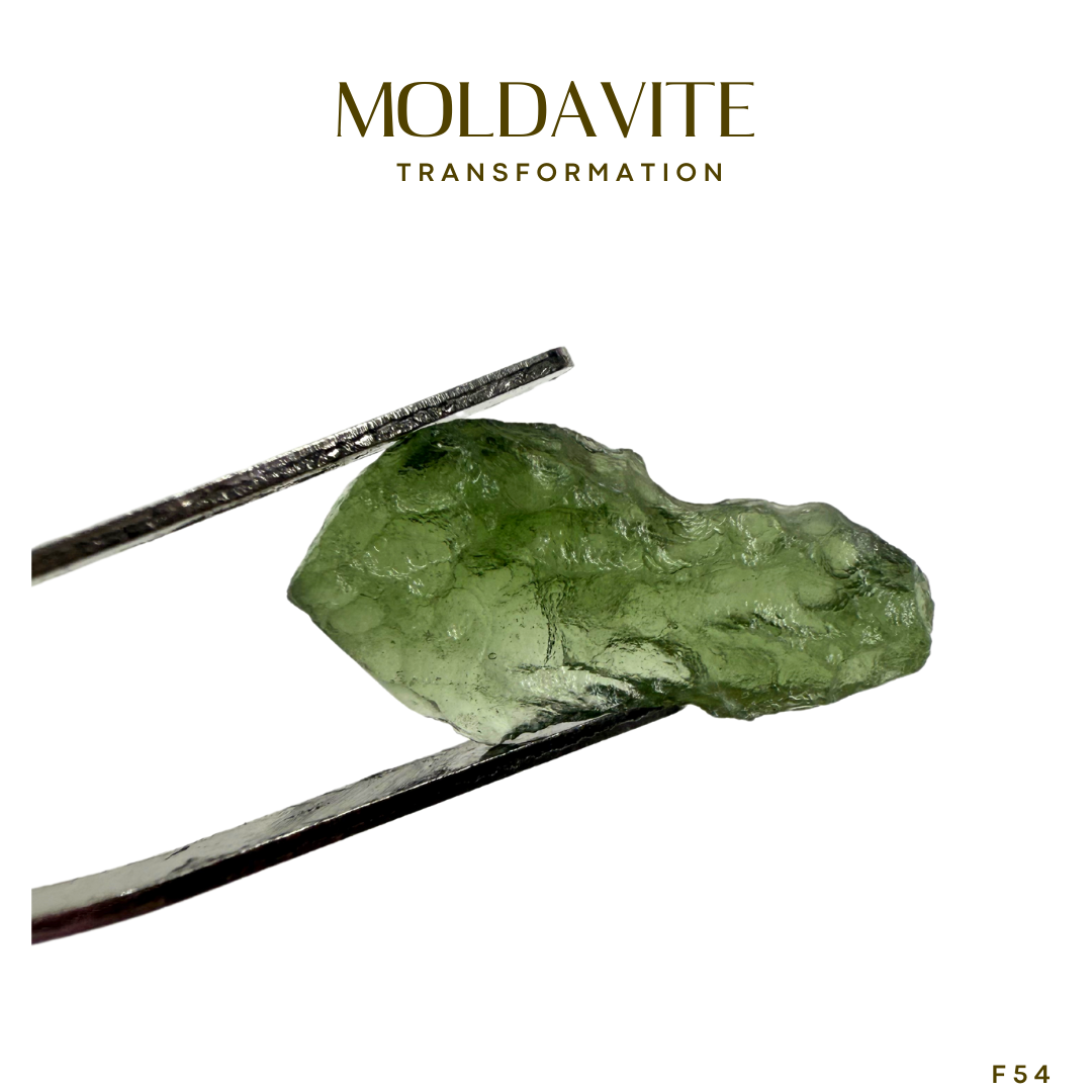 Moldavite F54