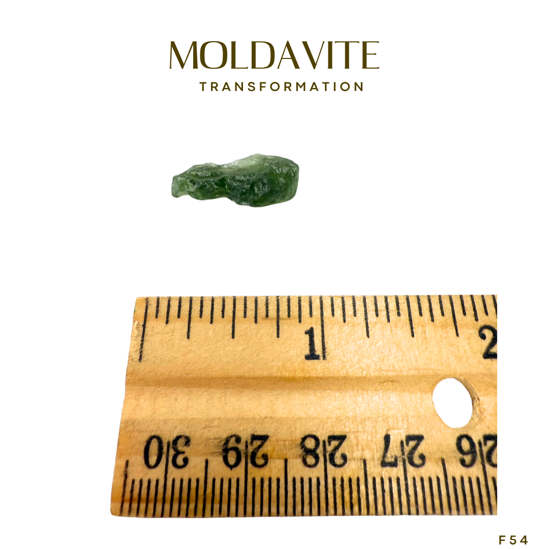 Moldavite F54