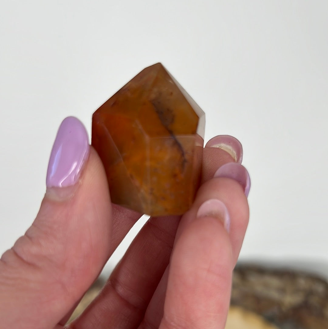 Dreamcoat Lemurian (A35)