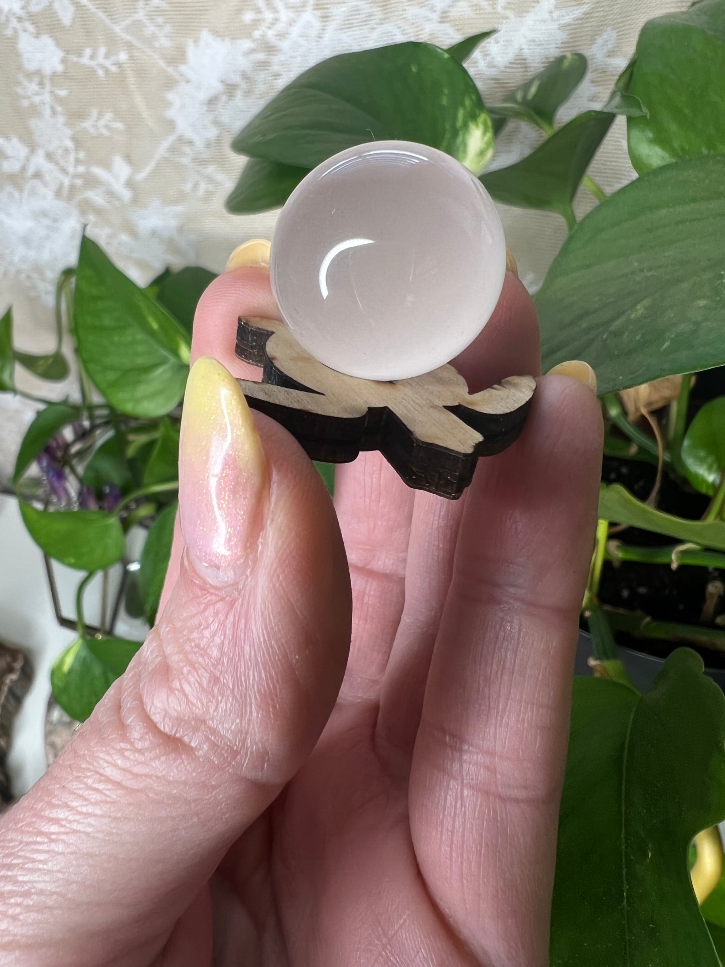 Turtle Sphere Stand (Small)