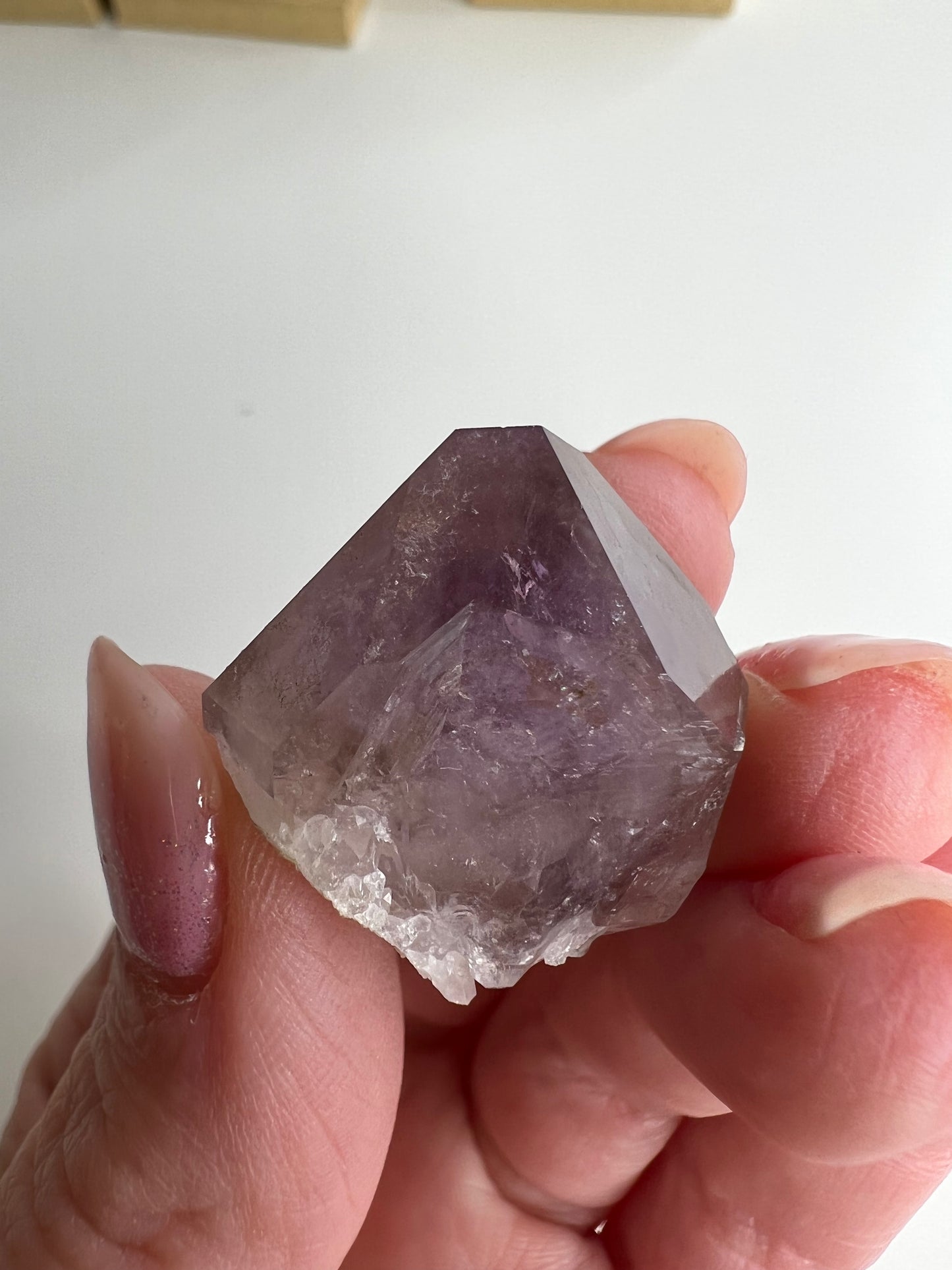 Amethyst Rough Point South Carolina (C15)