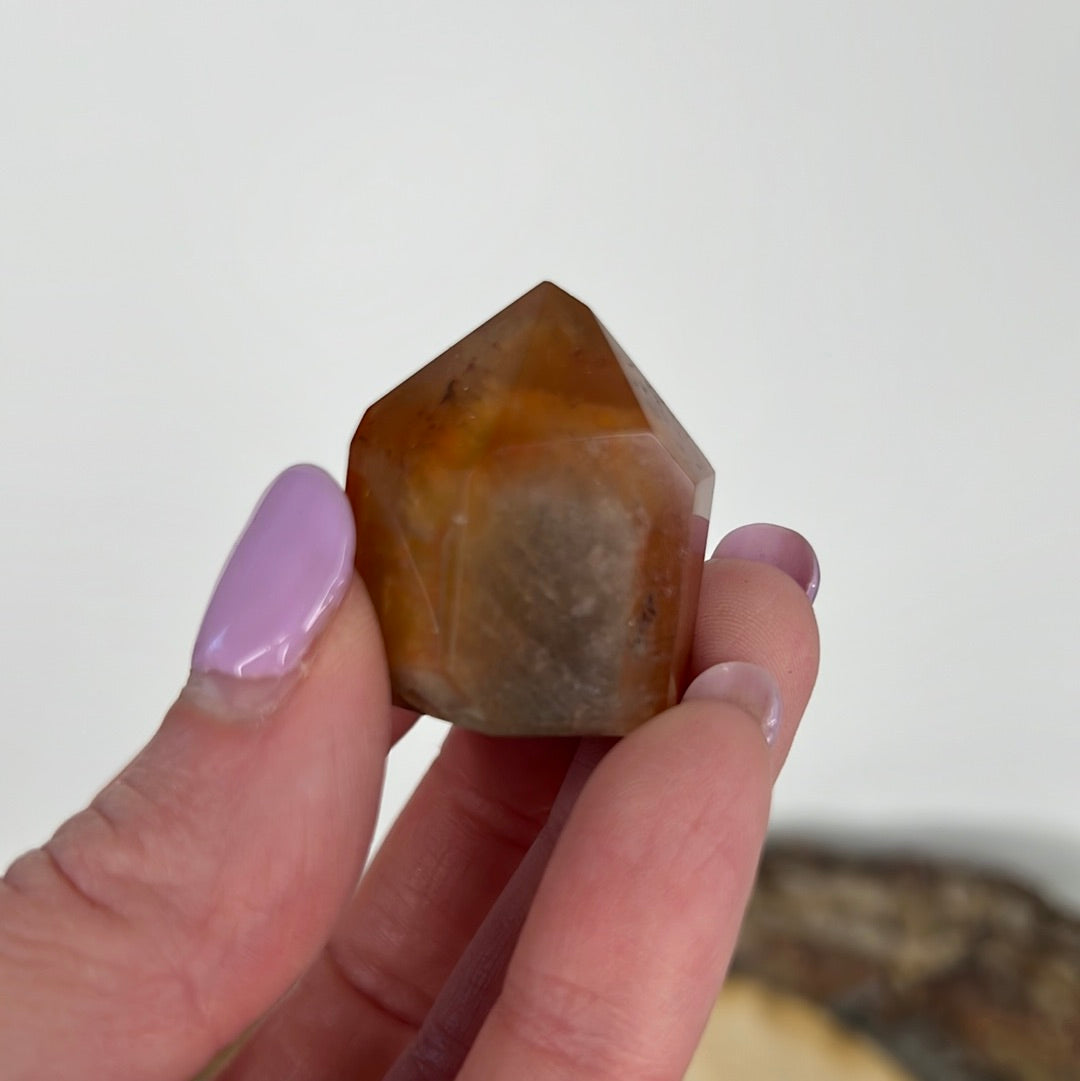 Dreamcoat Lemurian (A35)