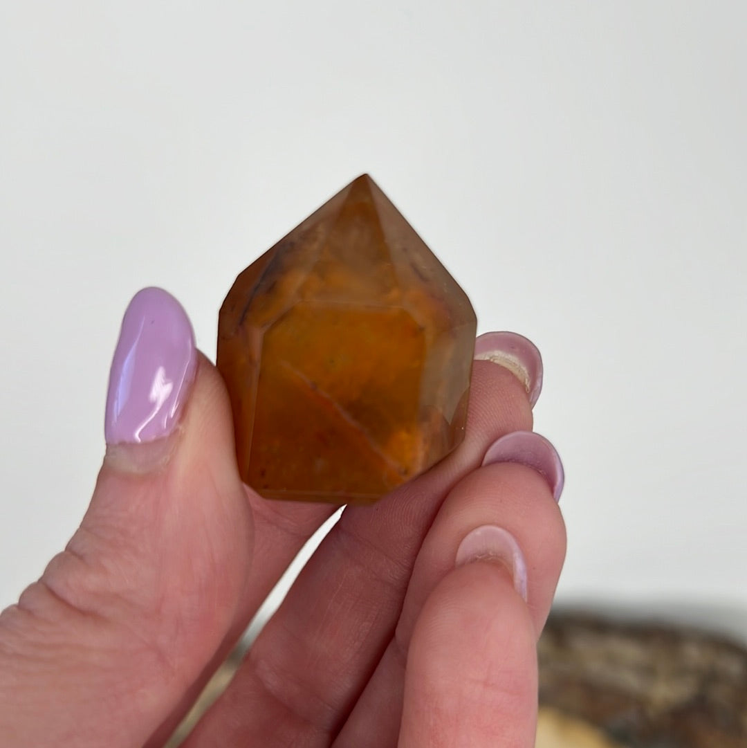 Dreamcoat Lemurian (A35)