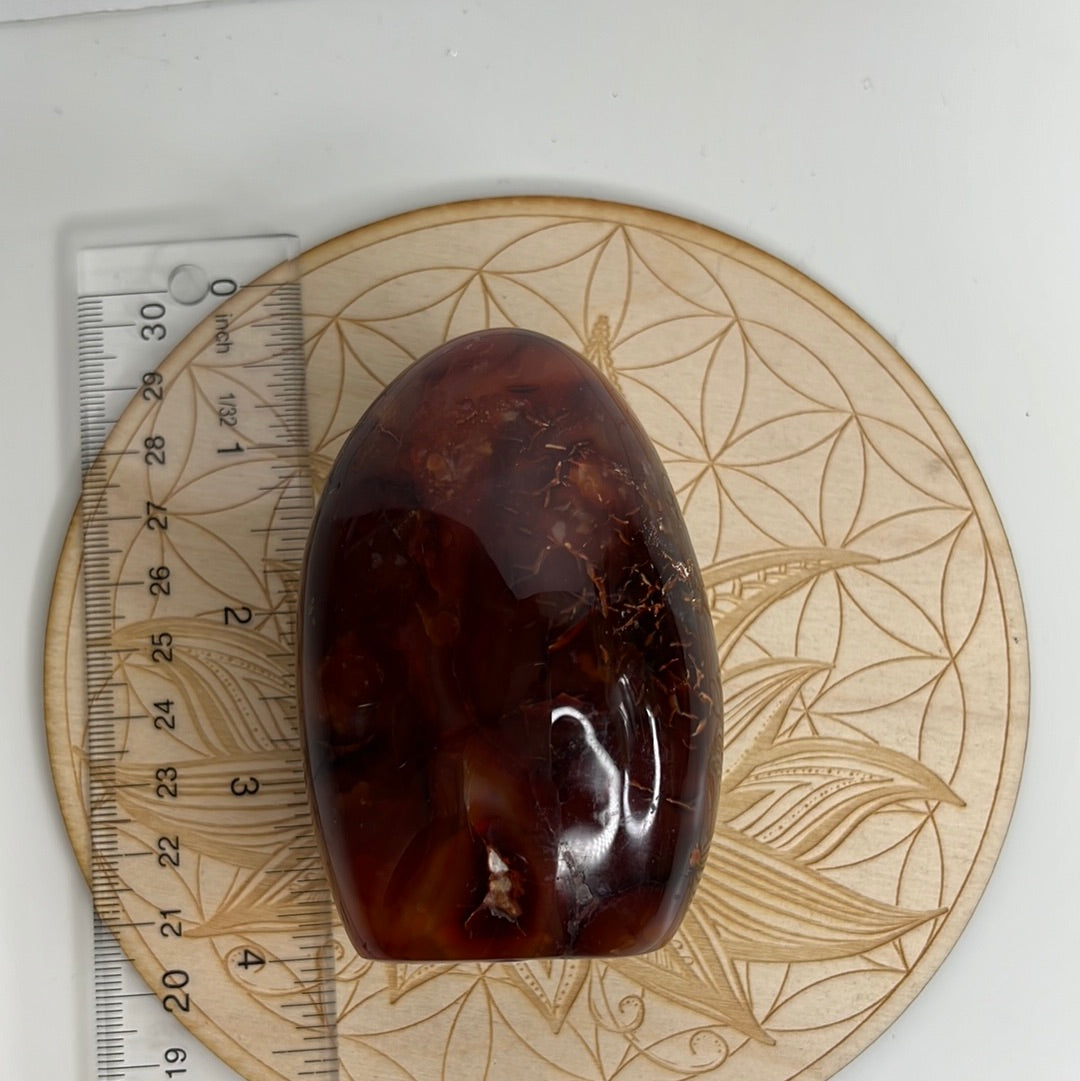 Carnelian Freeform (D40)