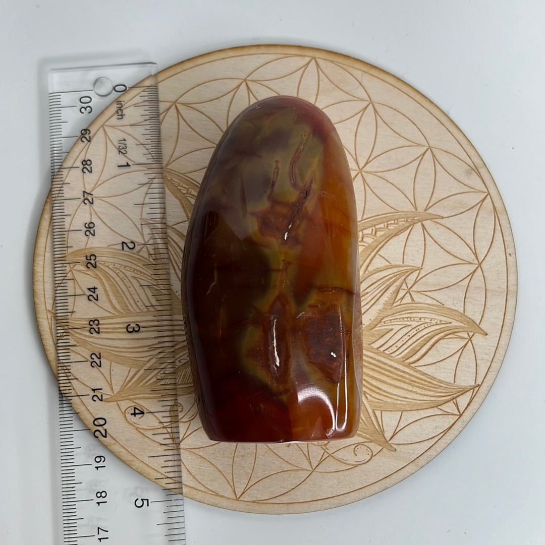 Carnelian Freeform (A26)