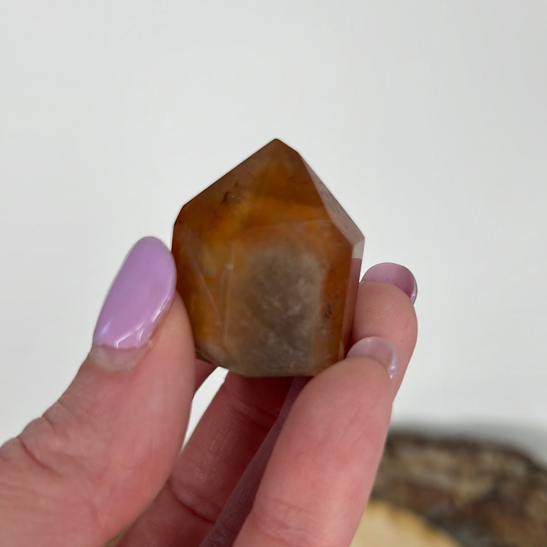 Dreamcoat Lemurian (A35)