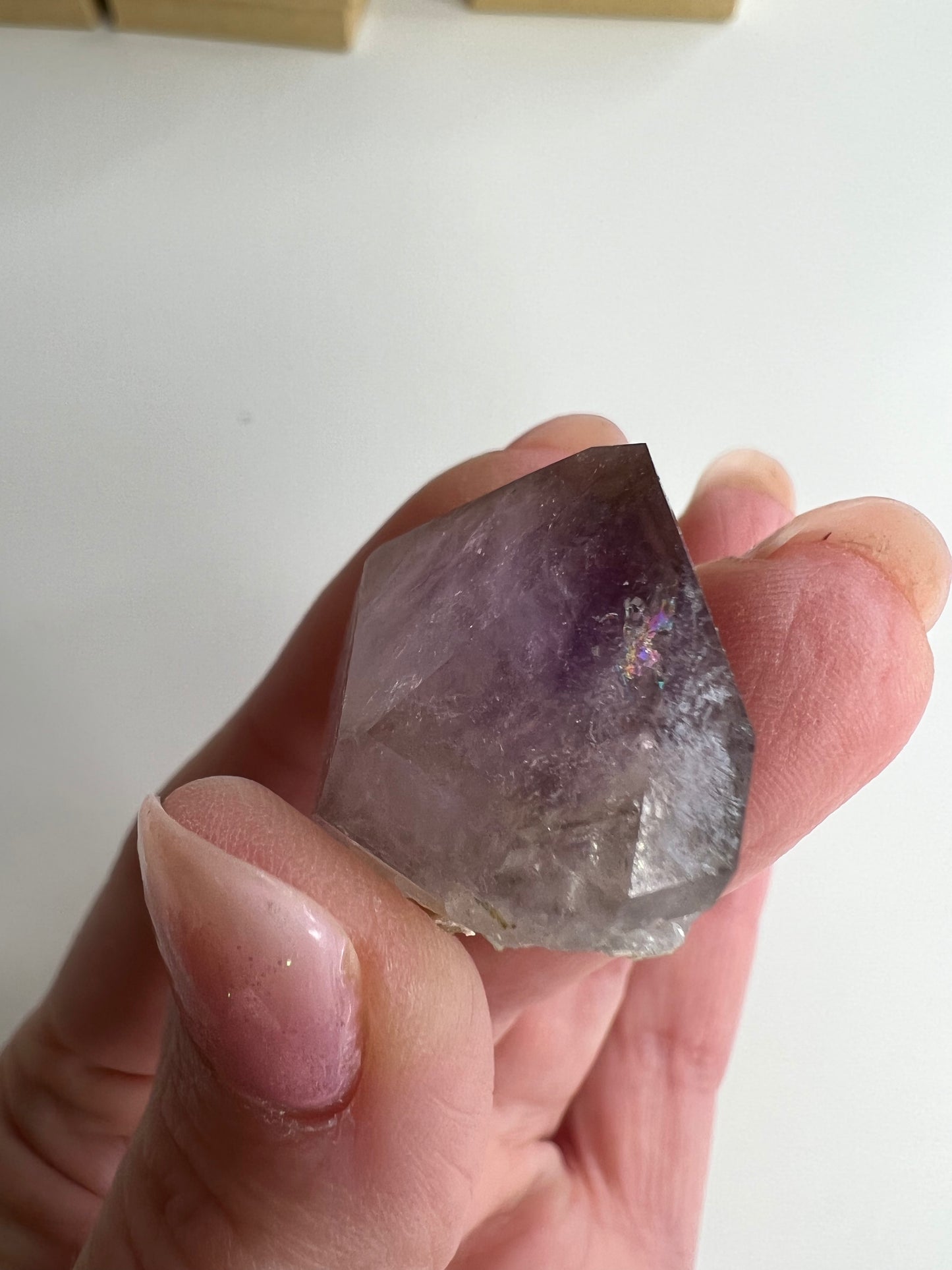 Amethyst Rough Point South Carolina (C15)