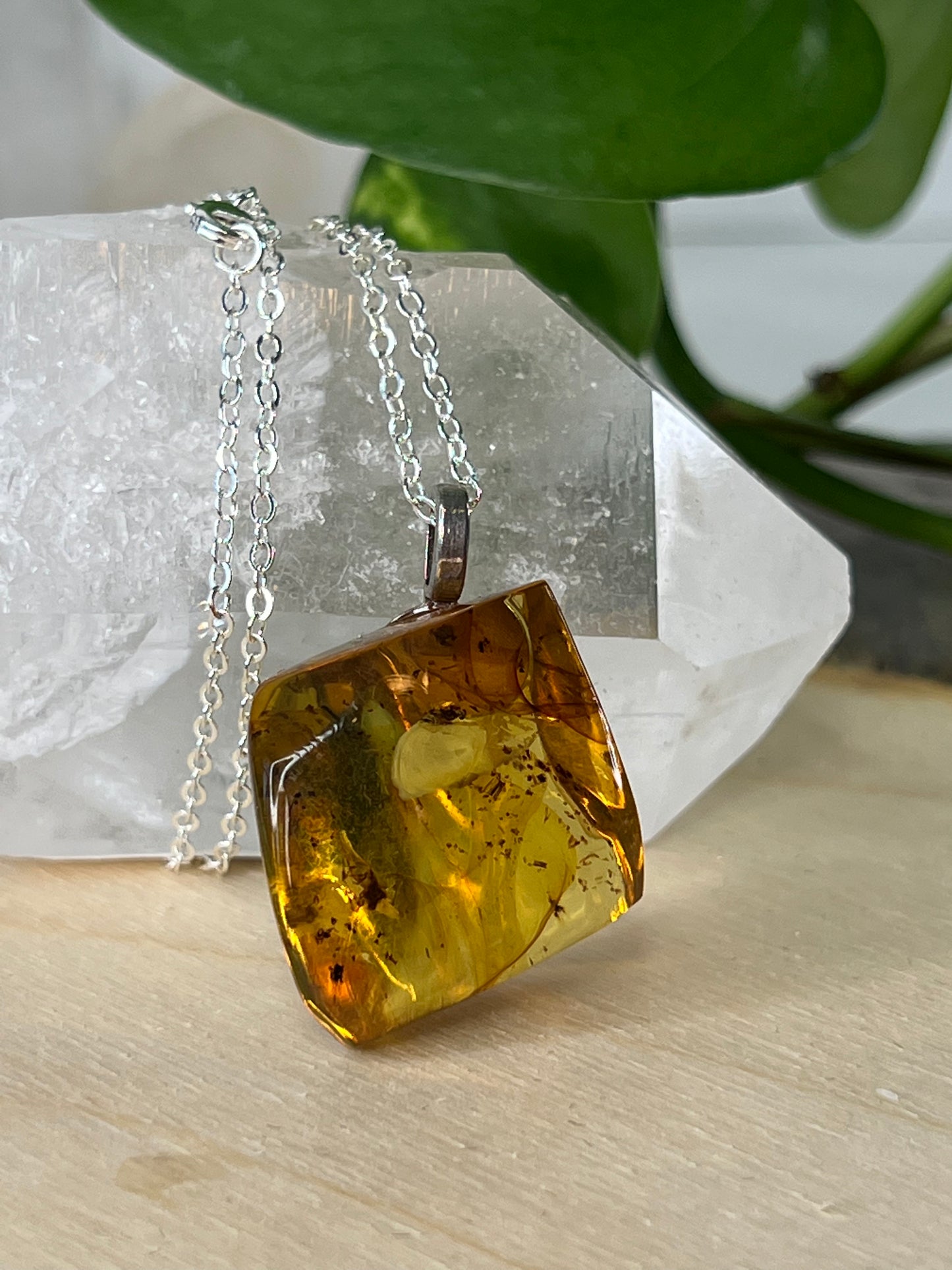 Chiapas Amber Pendant w/ Bug