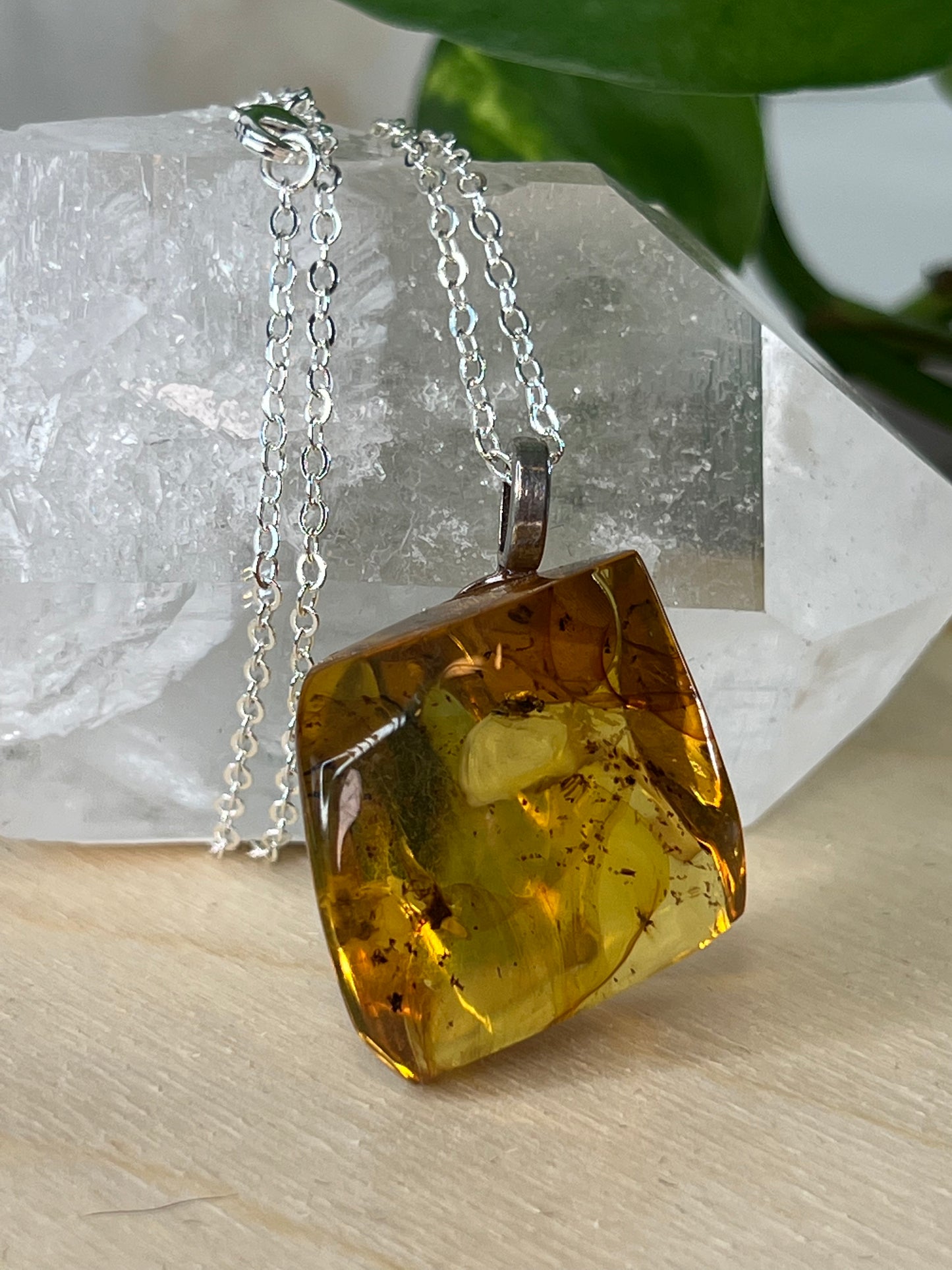 Chiapas Amber Pendant w/ Bug