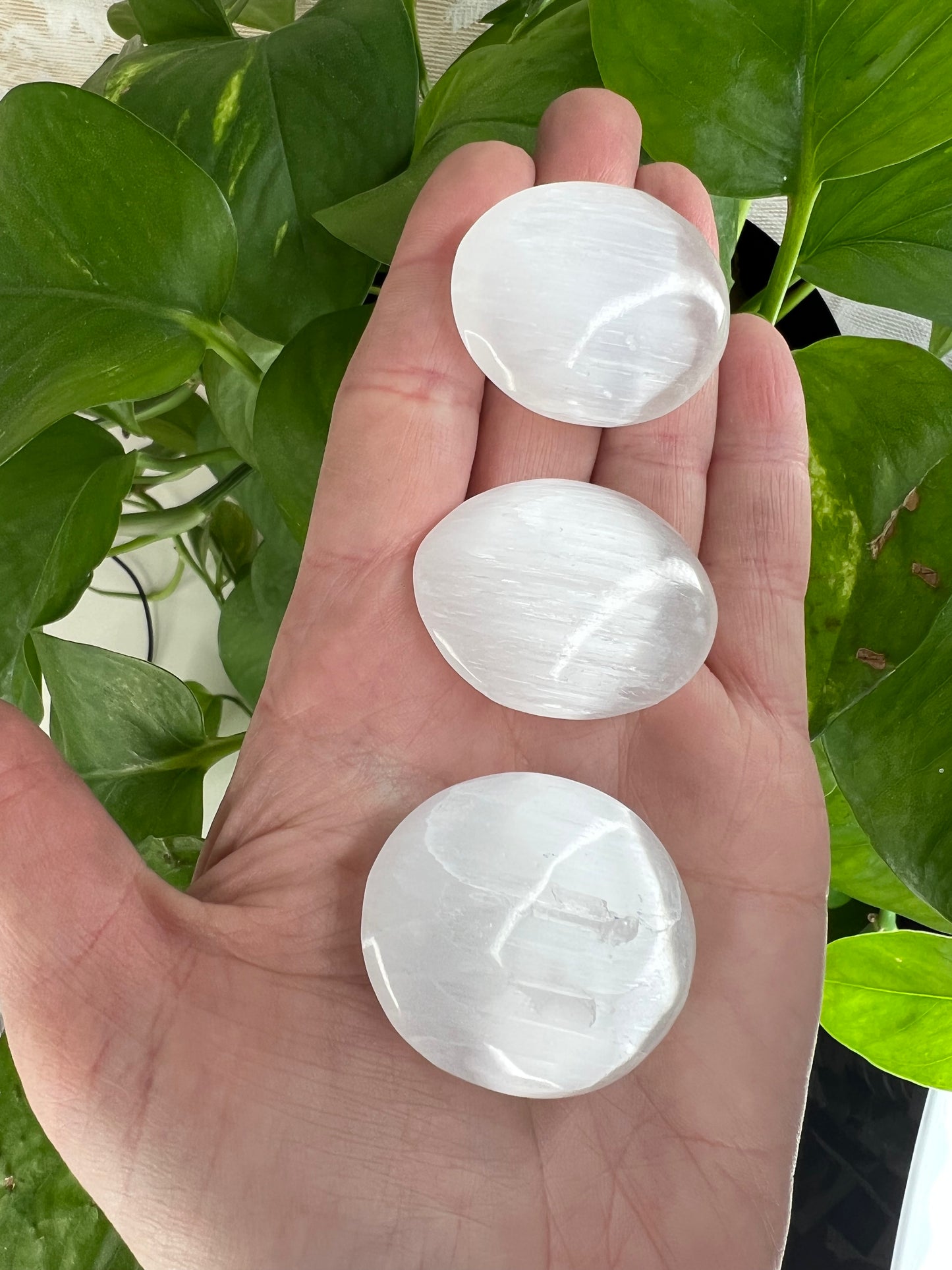 Selenite | Satin Spar Palm