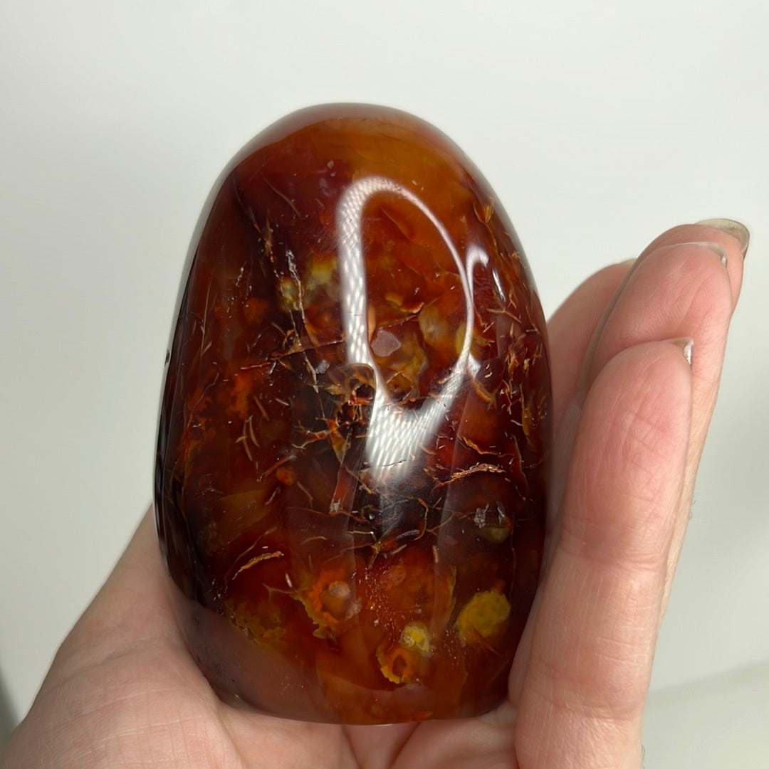 Carnelian Freeform (D40)