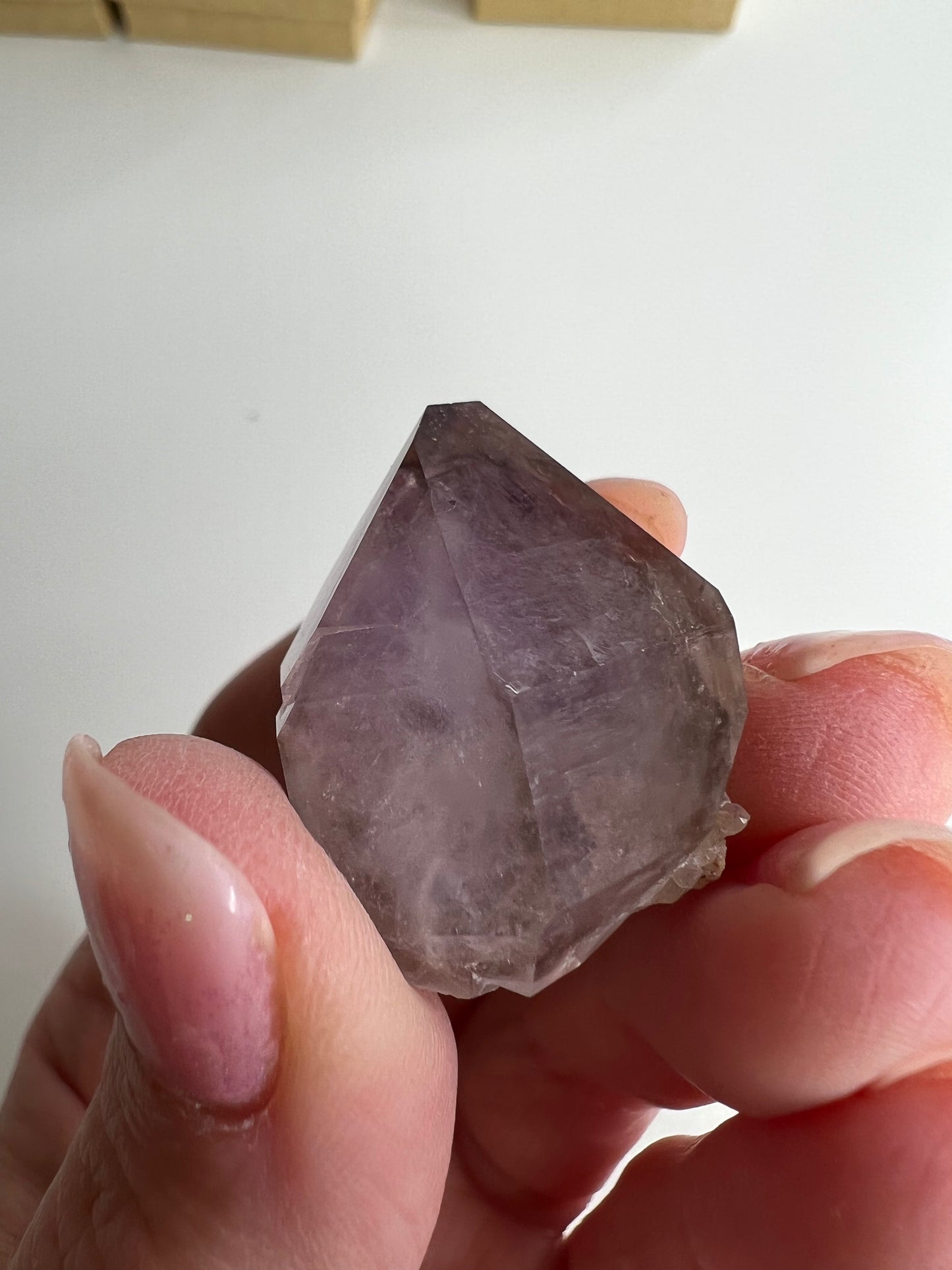 Amethyst Rough Point South Carolina (C15)