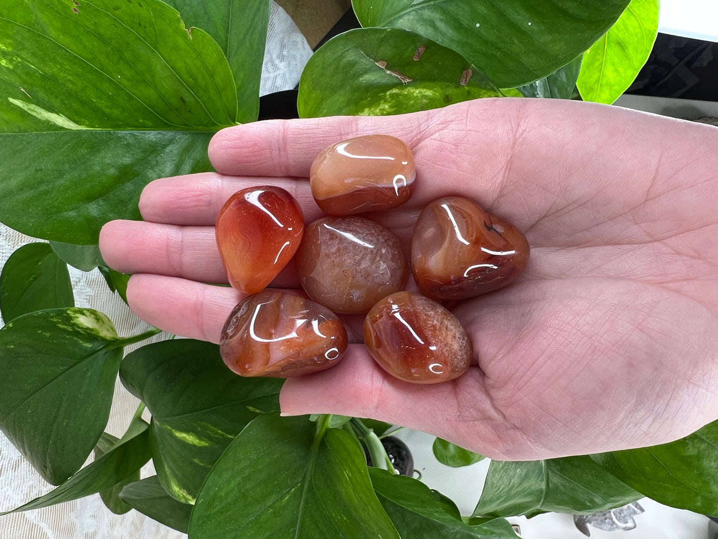 Carnelian Tumbles Medium Size