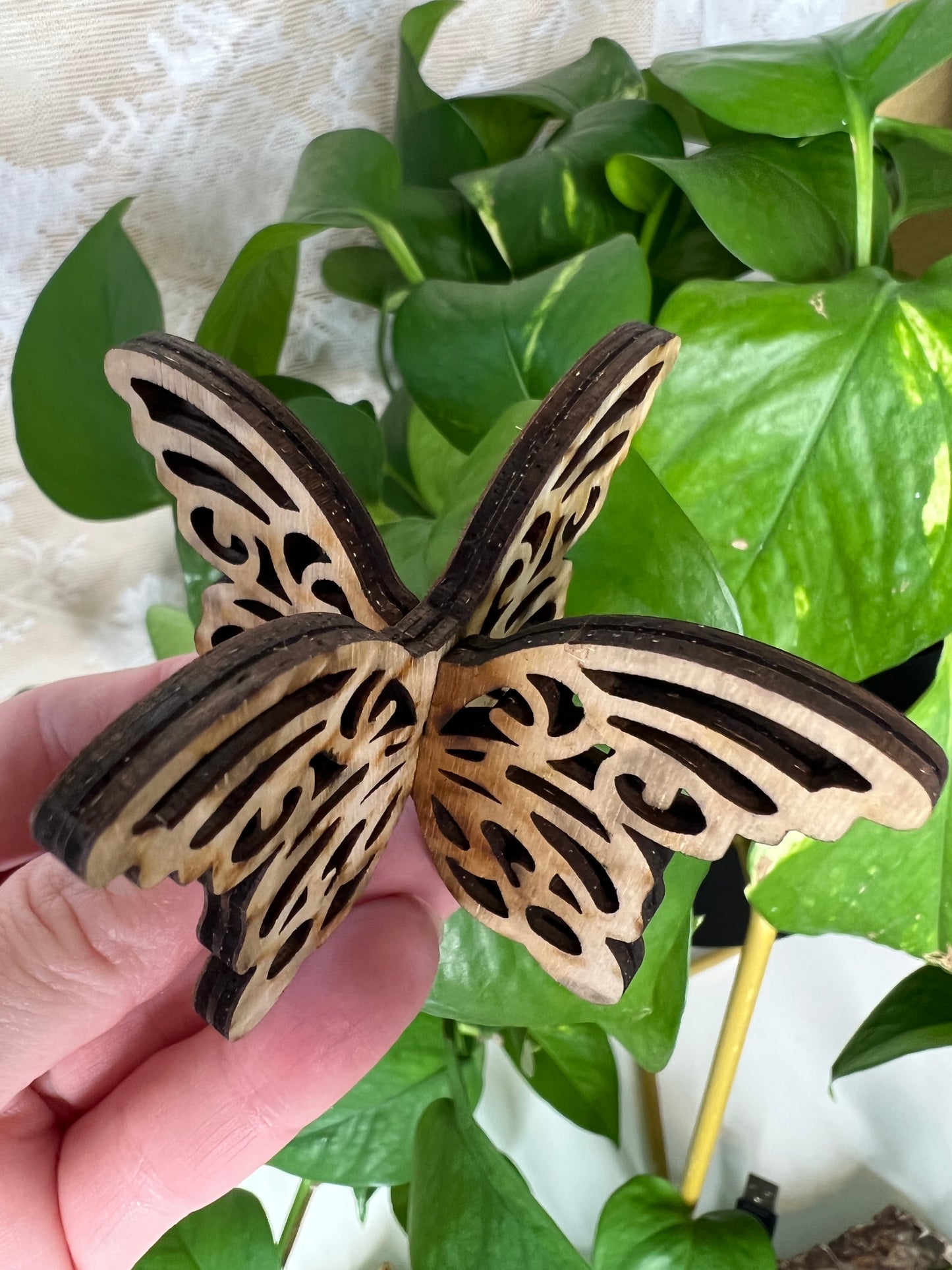 Butterfly Sphere Stand