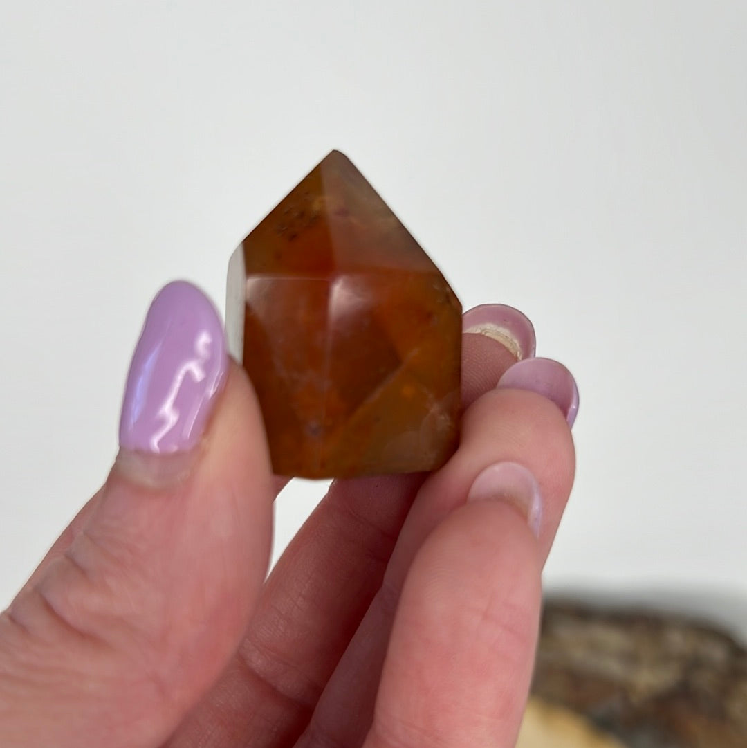 Dreamcoat Lemurian (A35)