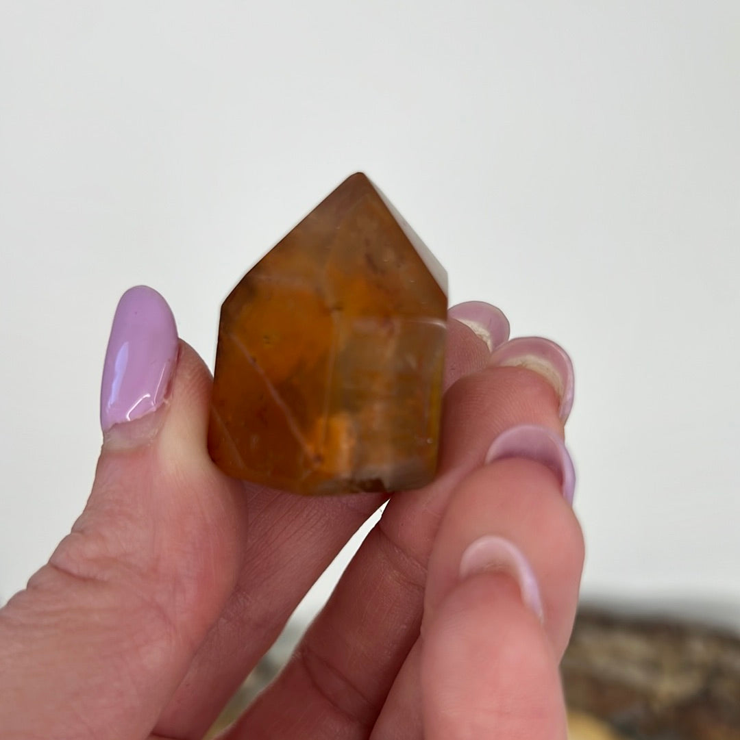 Dreamcoat Lemurian (A35)