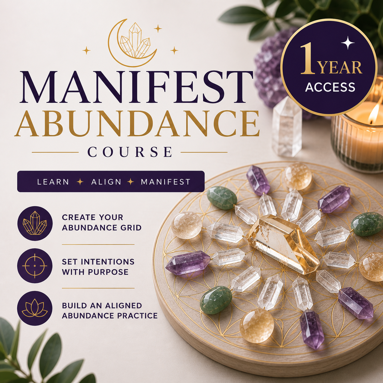 Manifest Abundance Class
