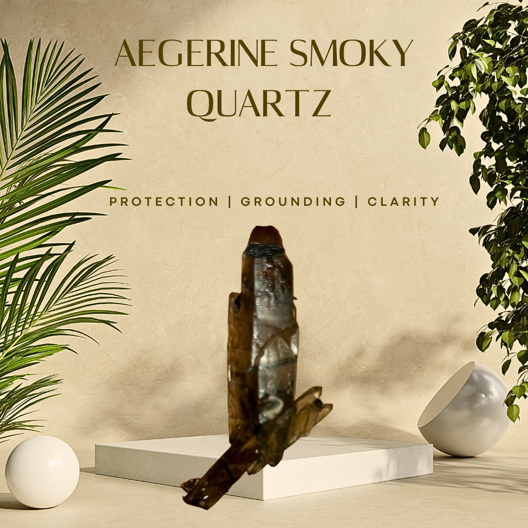 A polished Aegerine Smoky Quartz crystal specimen displayed on a white surface with a green plant in the background, indicating the natural origin and protection properties associated with the crystal.