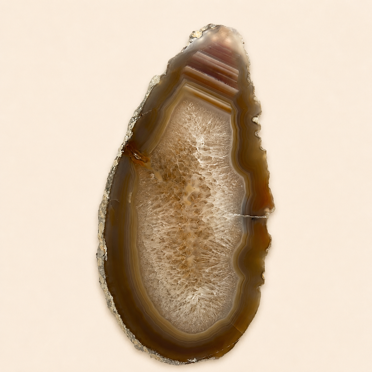 A polished agate geode slice with concentric bands of brown, tan, and cream, set against a solid light beige background.