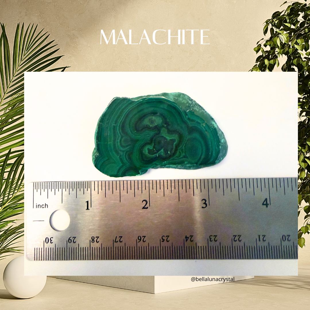 Malachite stone with a ruler for scale, surrounded by green leaves.