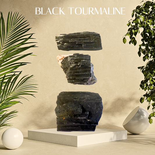 Black tourmaline crystals on a beige background with plants