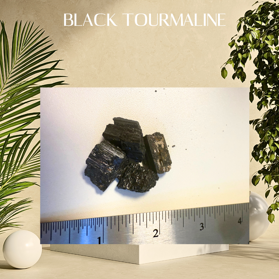 Black tourmaline crystals on a white card with a ruler for scale, surrounded by green plants.