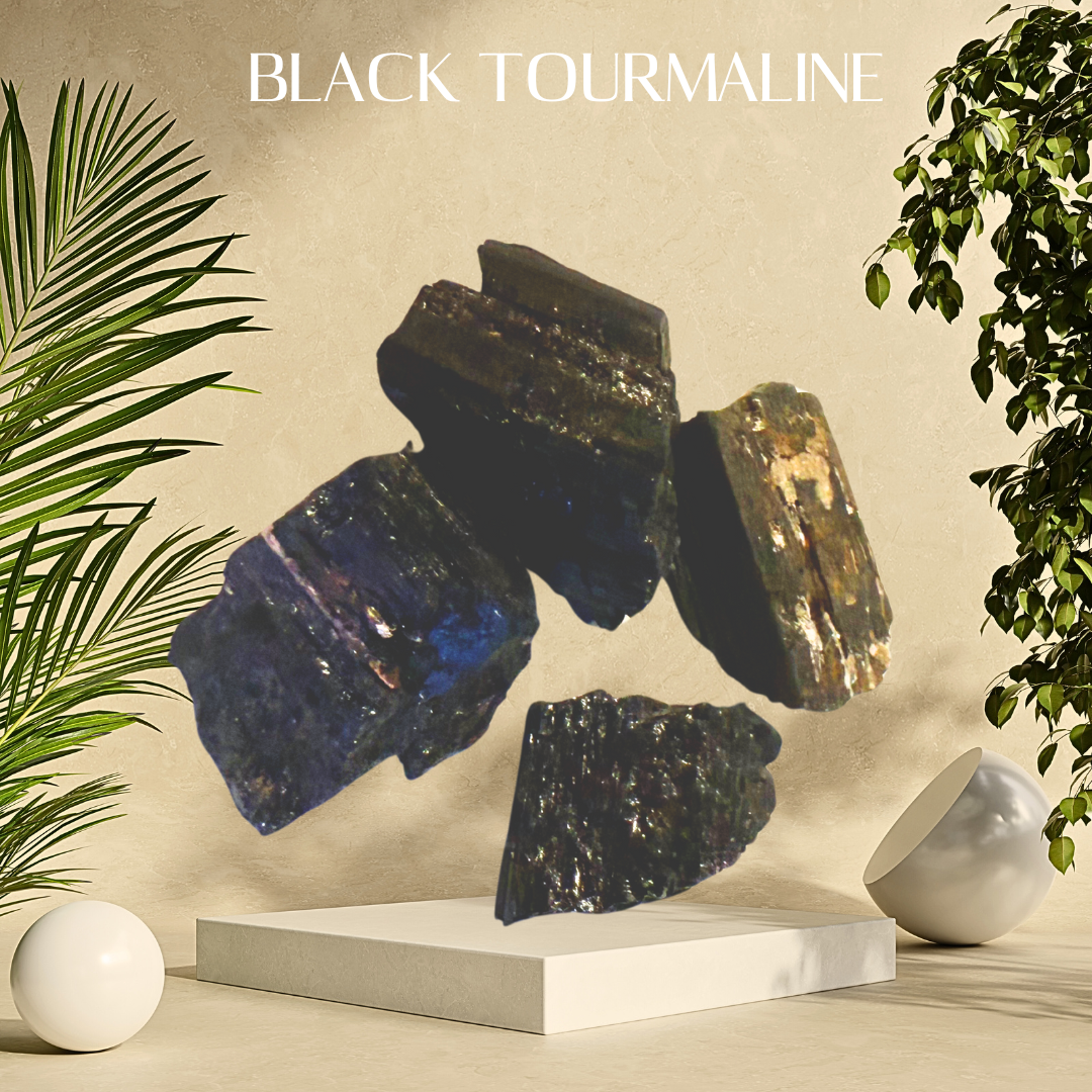 Black tourmaline crystals on a neutral background with plants