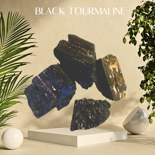 Black tourmaline crystals on a neutral background with plants