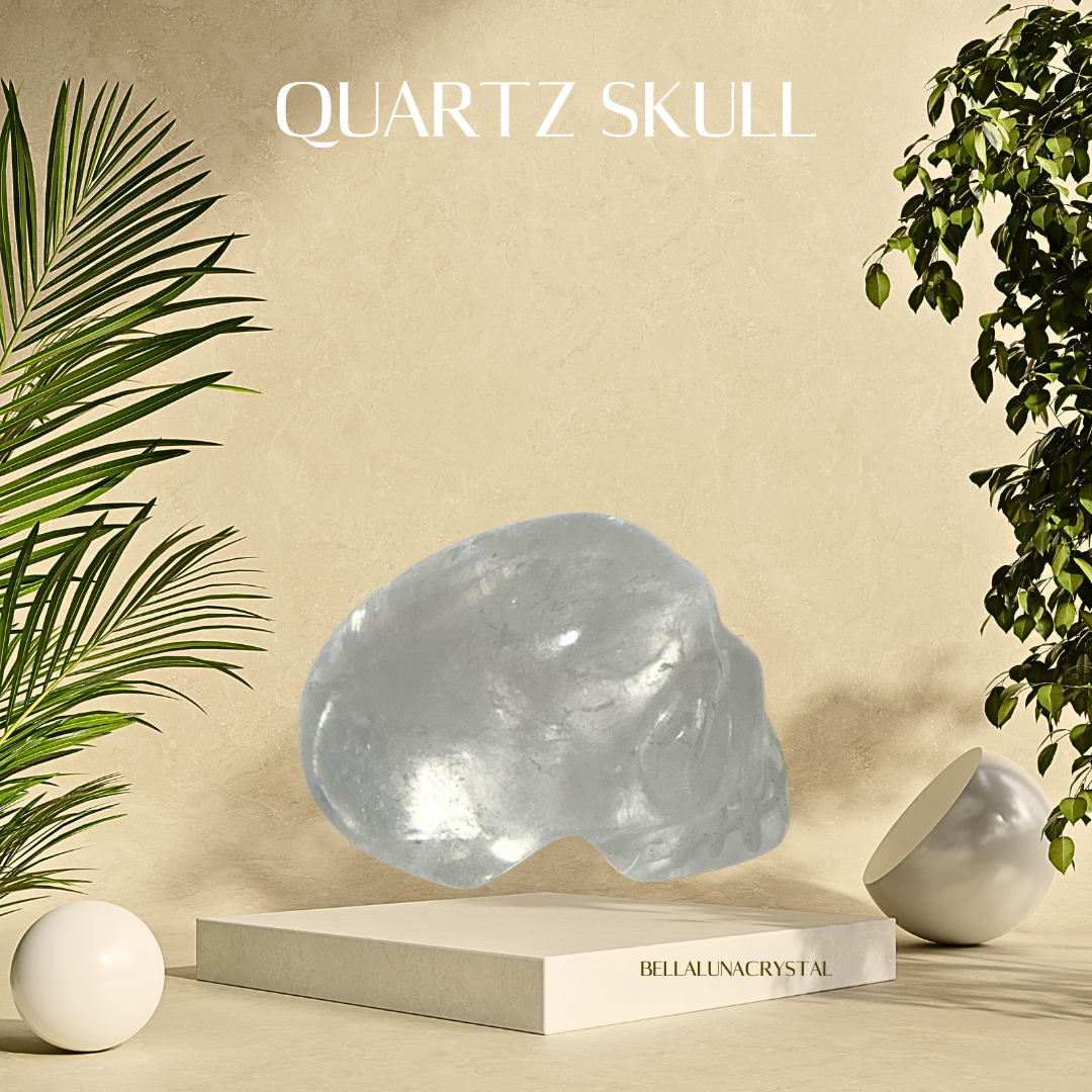 Quartz skull crystal on a beige platform with plants on either side, branded 'Bella Un' Crystal.