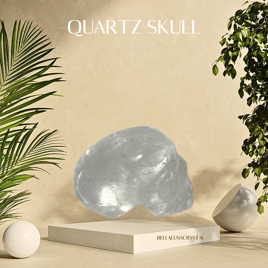 Quartz skull crystal on a beige platform with plants on either side, branded 'Bella Un' Crystal.