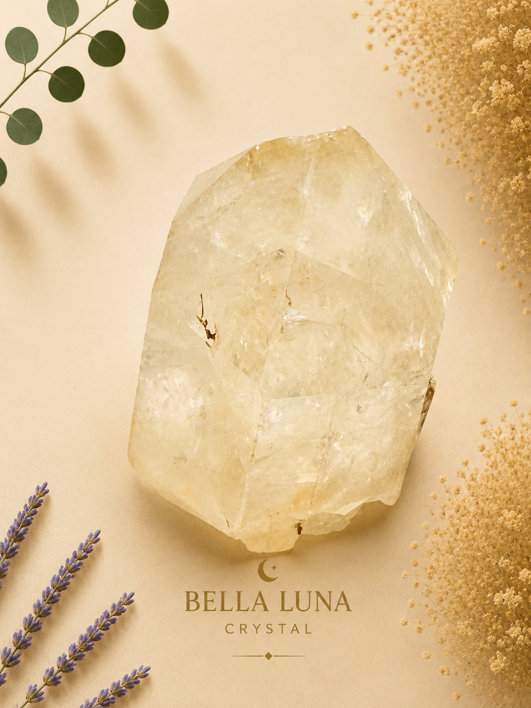 A large, raw pale yellow crystal with natural facets and inclusions, styled in a flat-lay composition on a warm beige background with dried botanicals and the text 'BELLA LUNA CRYSTAL' at the bottom.