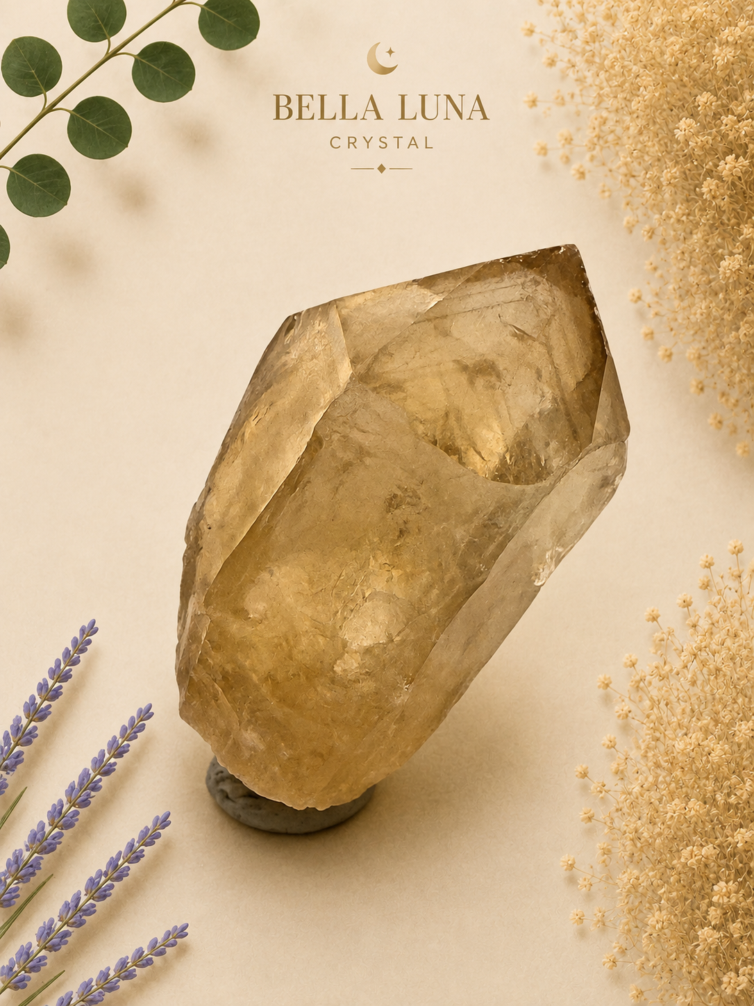 A large natural crystal cluster with a warm golden-brown translucent tone, displayed on a small dark stand against a soft beige background. The crystal is styled with dried botanicals and green leaves, with the text 'BELLA LUNA CRYSTAL' printed at the top.