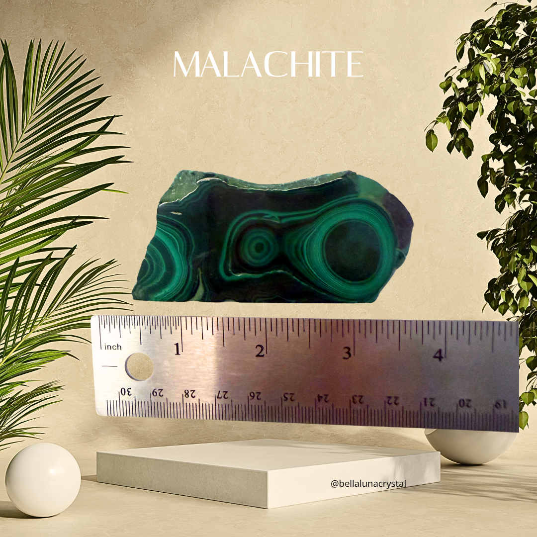 Malachite crystal with a ruler for scale on a neutral background with plants
