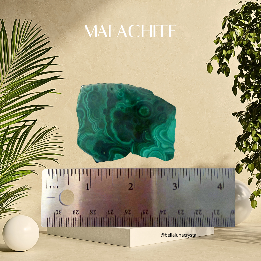 Malachite crystal with a ruler for scale on a beige background with plants.