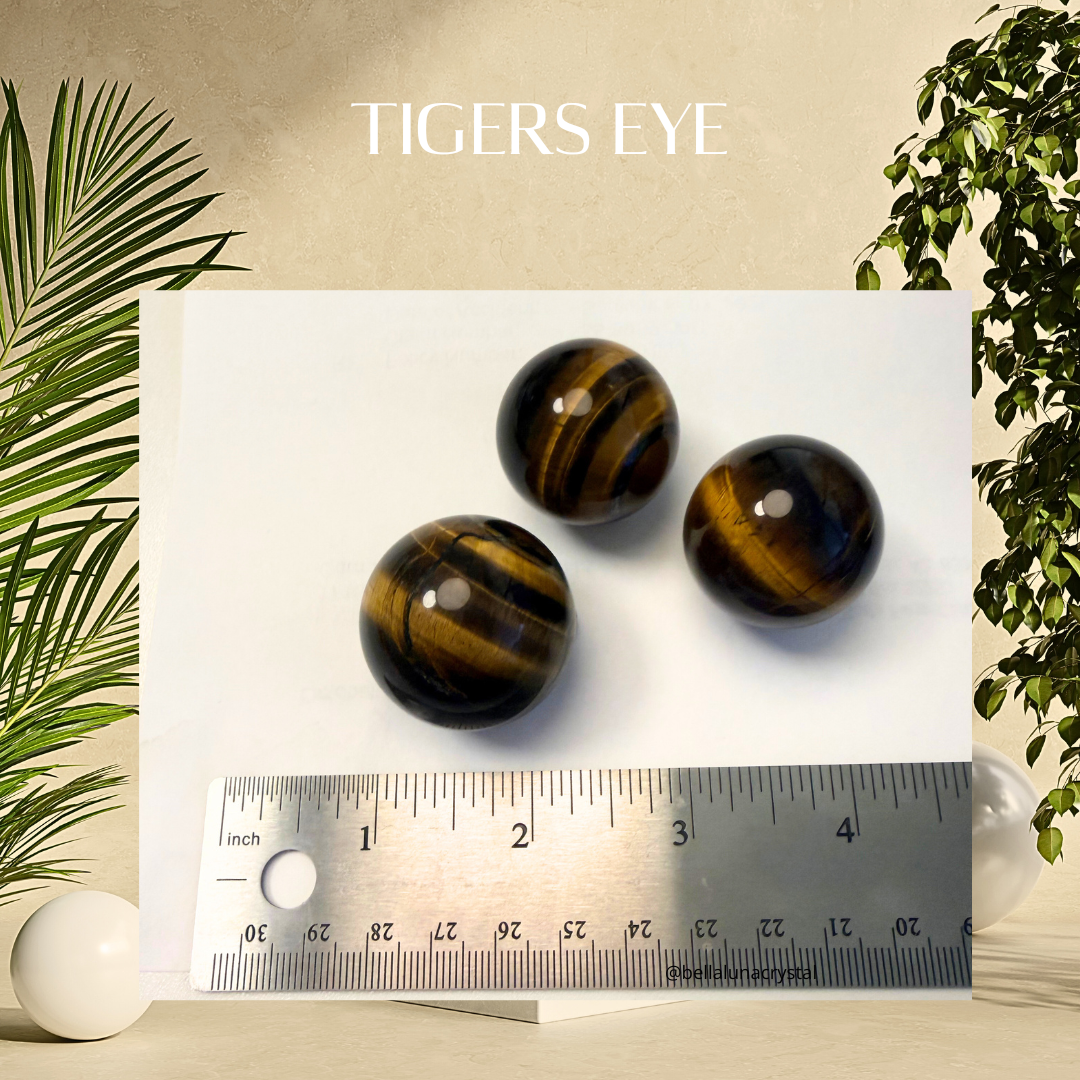Three tiger's eye stones on a white card with a ruler for scale, surrounded by green plants.