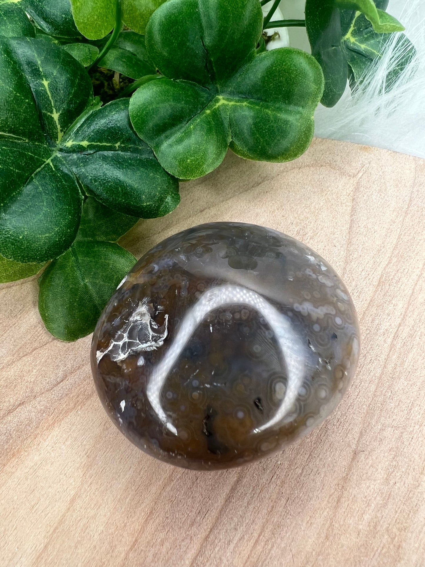 Ocean Jasper Palm 8th Vein (H24)