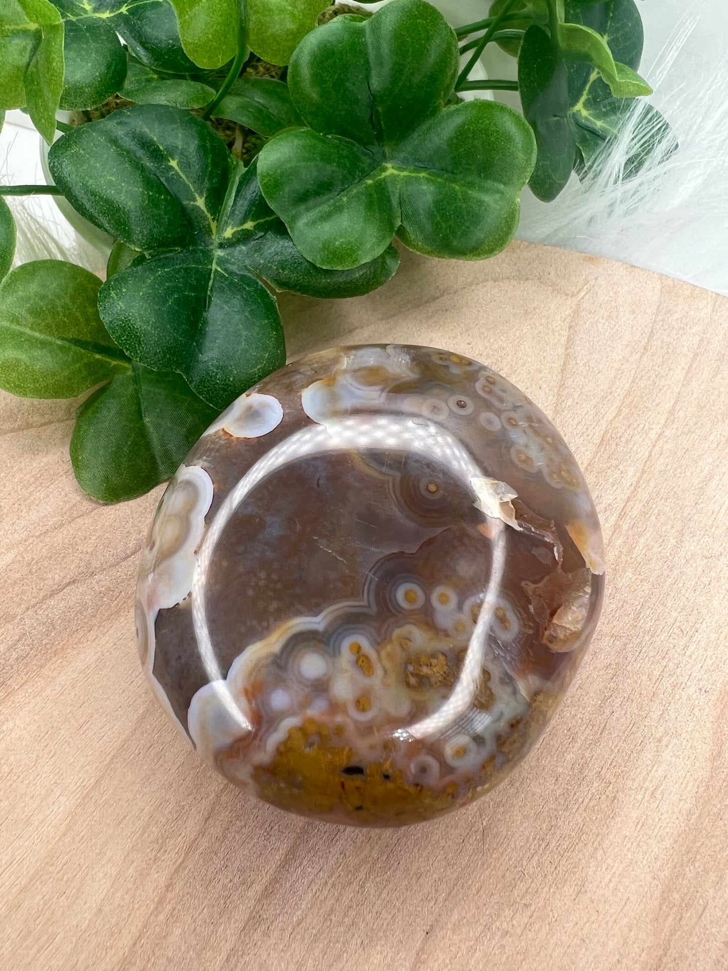 Ocean Jasper Palm 8th Vein (B50)