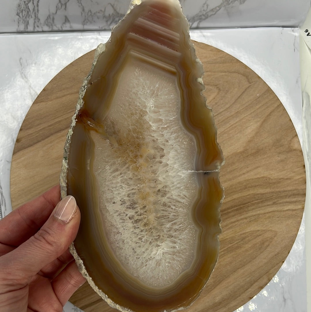 Agate Slice "Lays Flat" (D40)