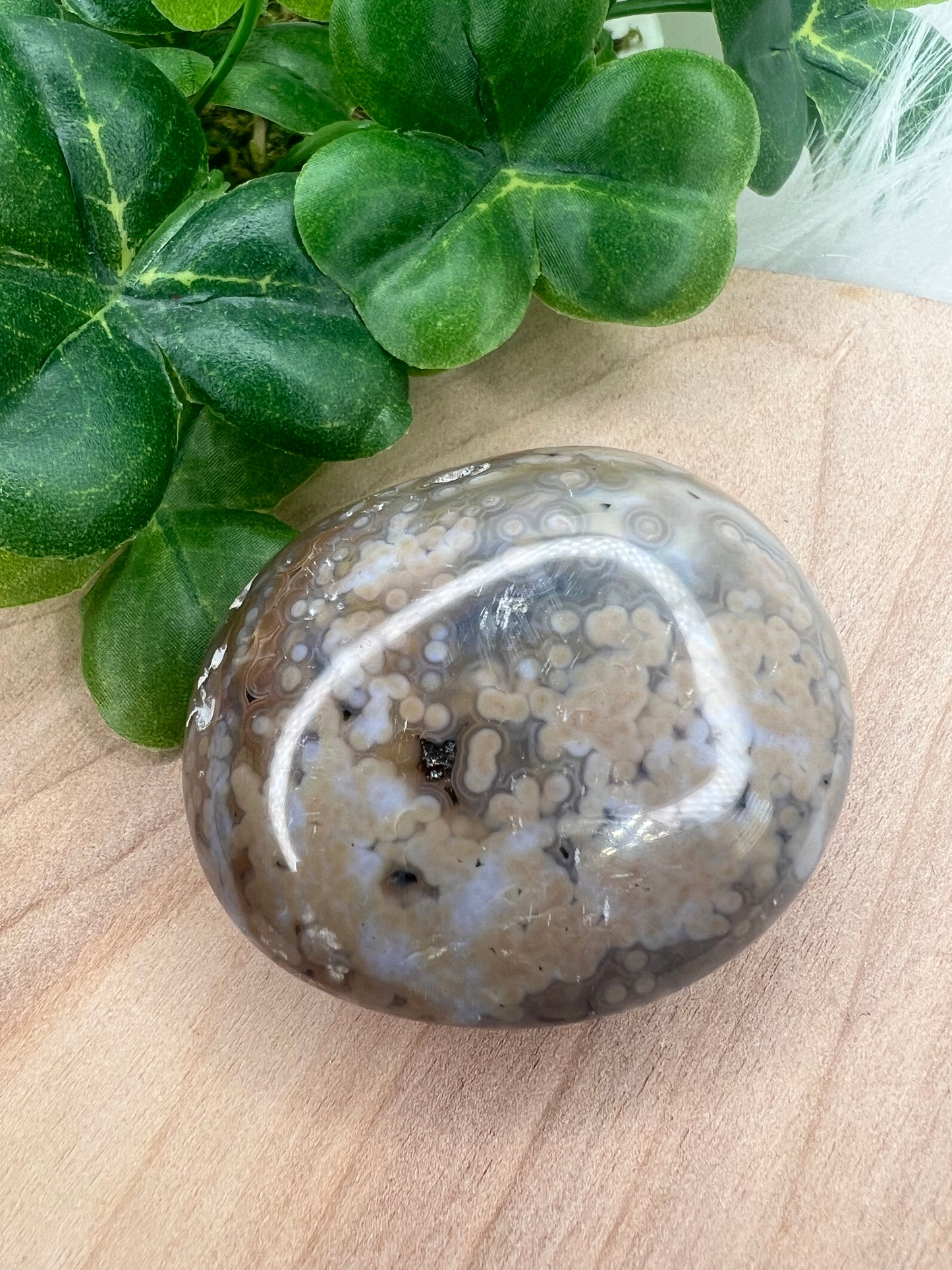 Ocean Jasper Palm 8th Vein (H24)