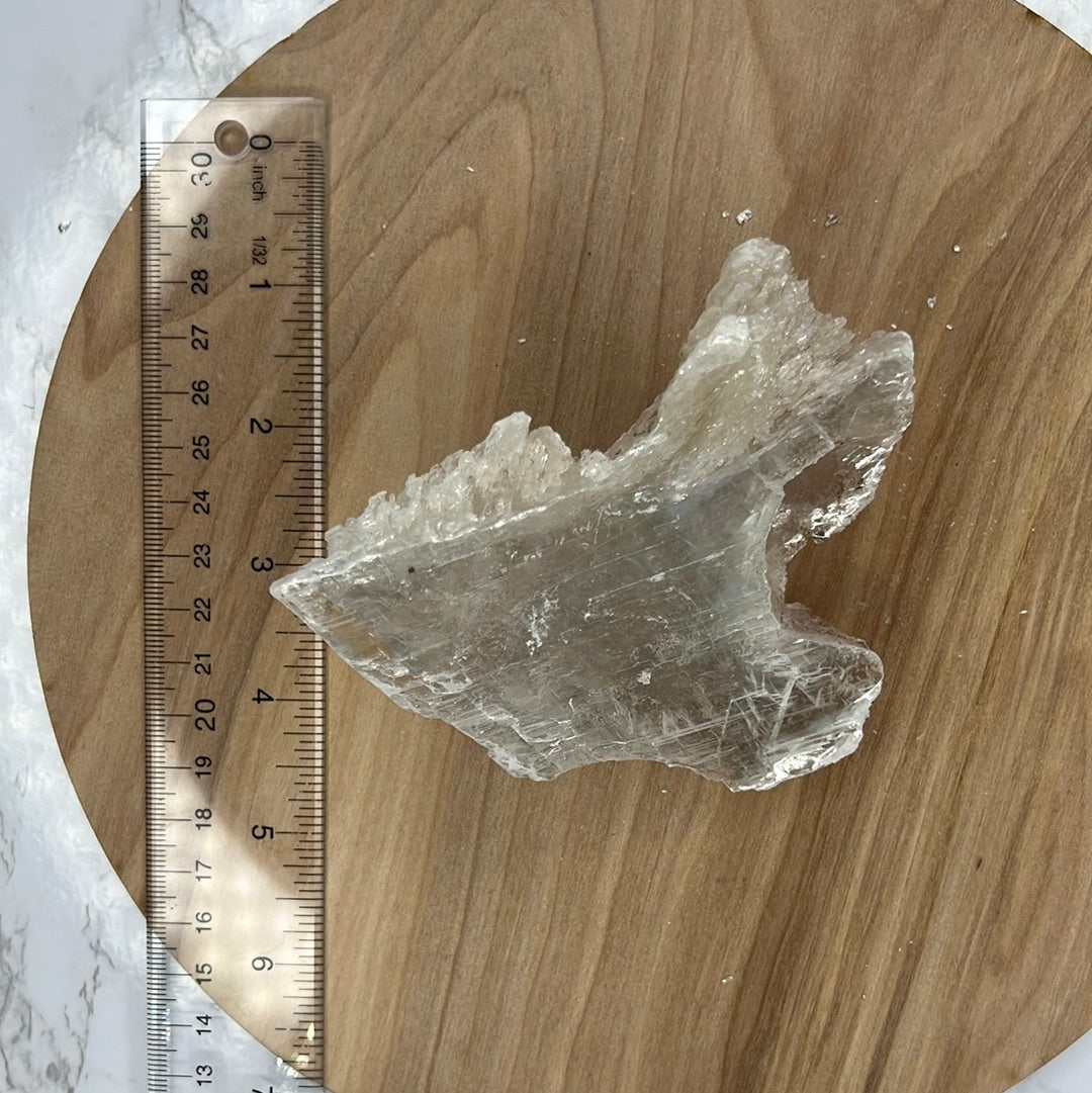 Mexican Selenite Specimen (H26) "True Selenite"