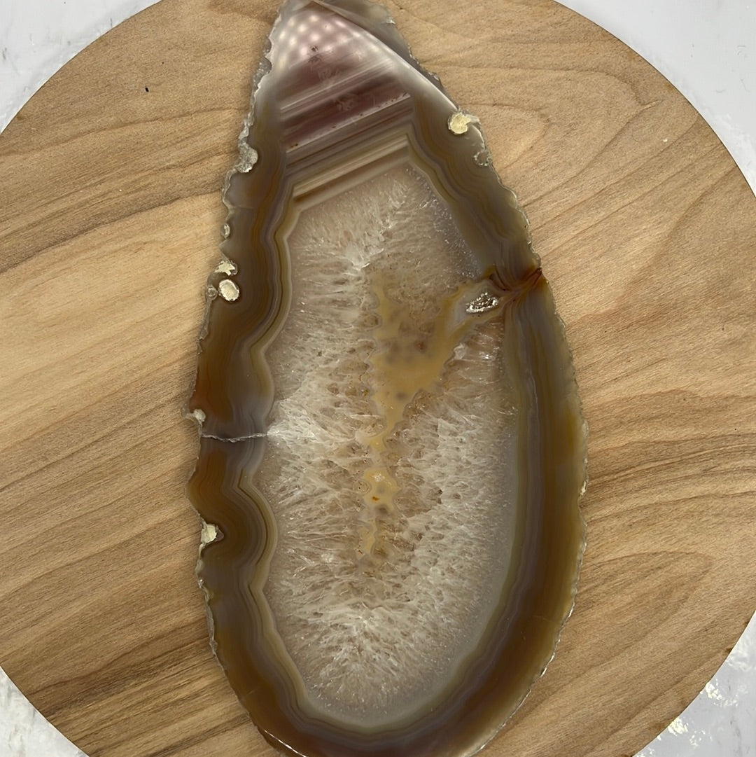 Agate Slice "Lays Flat" (D40)