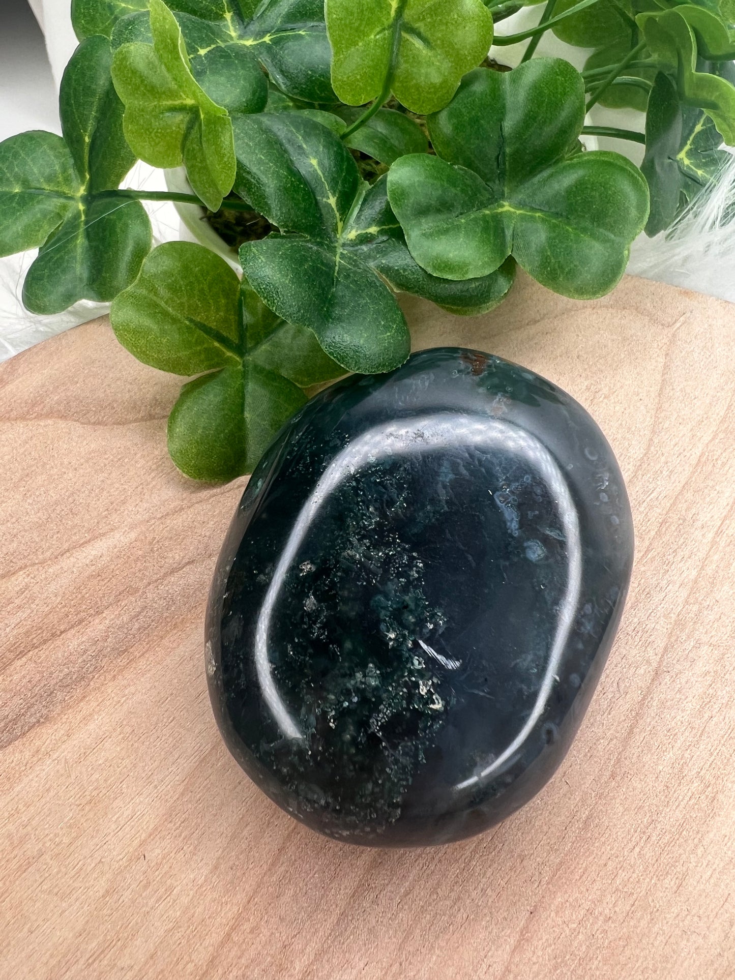 Ocean Jasper Palm 8th Vein (A40)