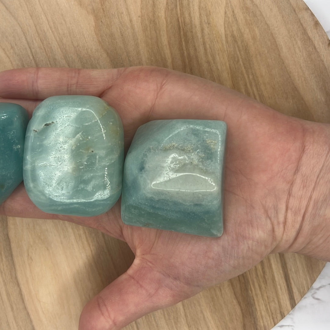 Sky Jasper Palm (Medium)