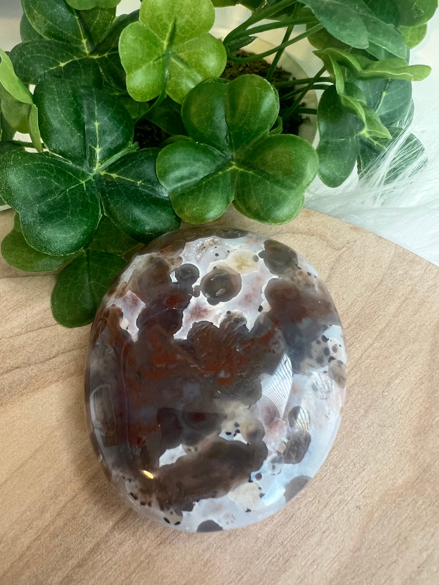 Ocean Jasper Palm 8th Vein (J38)