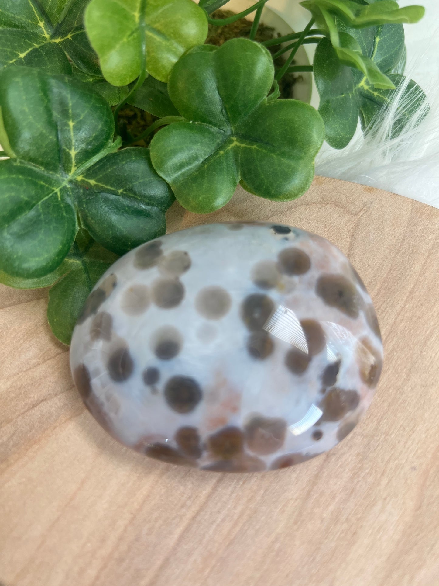 Ocean Jasper Palm 8th Vein (J38)