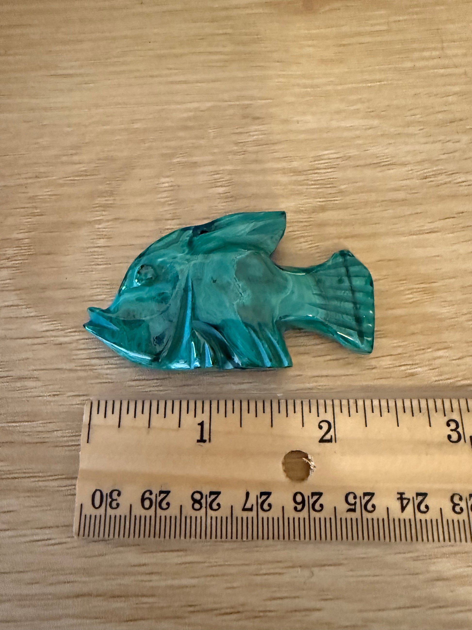 malachite-fish-size-reference