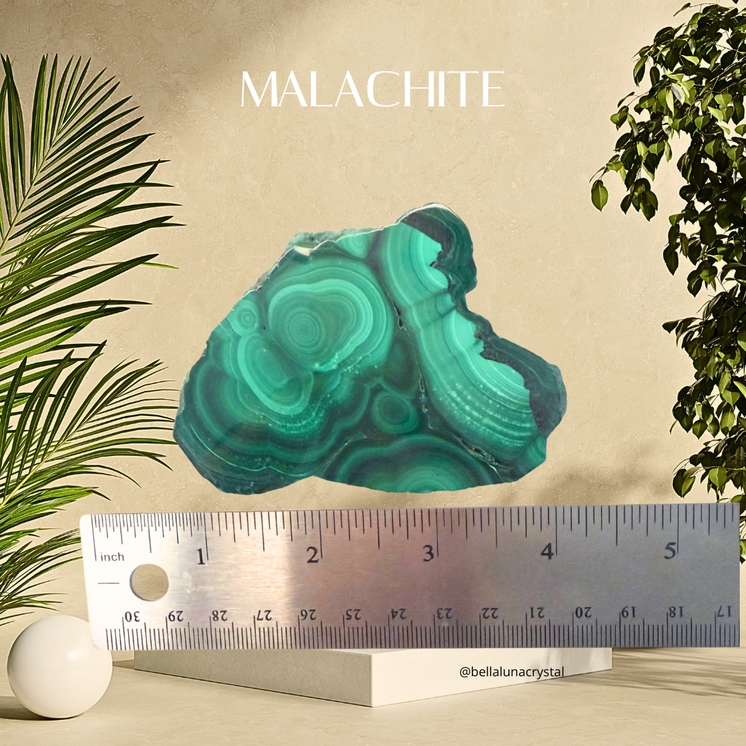 Malachite crystal with a ruler for scale on a beige background with plants.