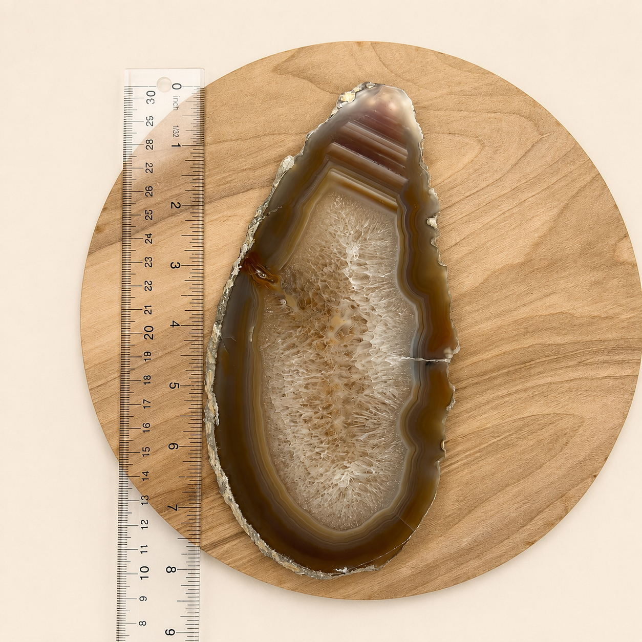 A polished agate slice with concentric bands of brown, gray, and cream, displayed on a round wooden coaster next to a metal ruler for scale.