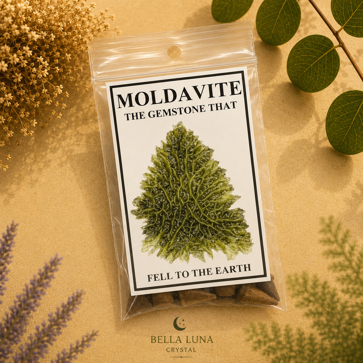 A clear plastic bag containing brown gemstone-like pieces, with a printed front label reading 'MOLDAVITE THE GEMSTONE THAT FELL TO THE EARTH' and a green leaf illustration. The bag is photographed on a warm beige surface with dried flowers, green leaves, and soft botanical props around it.