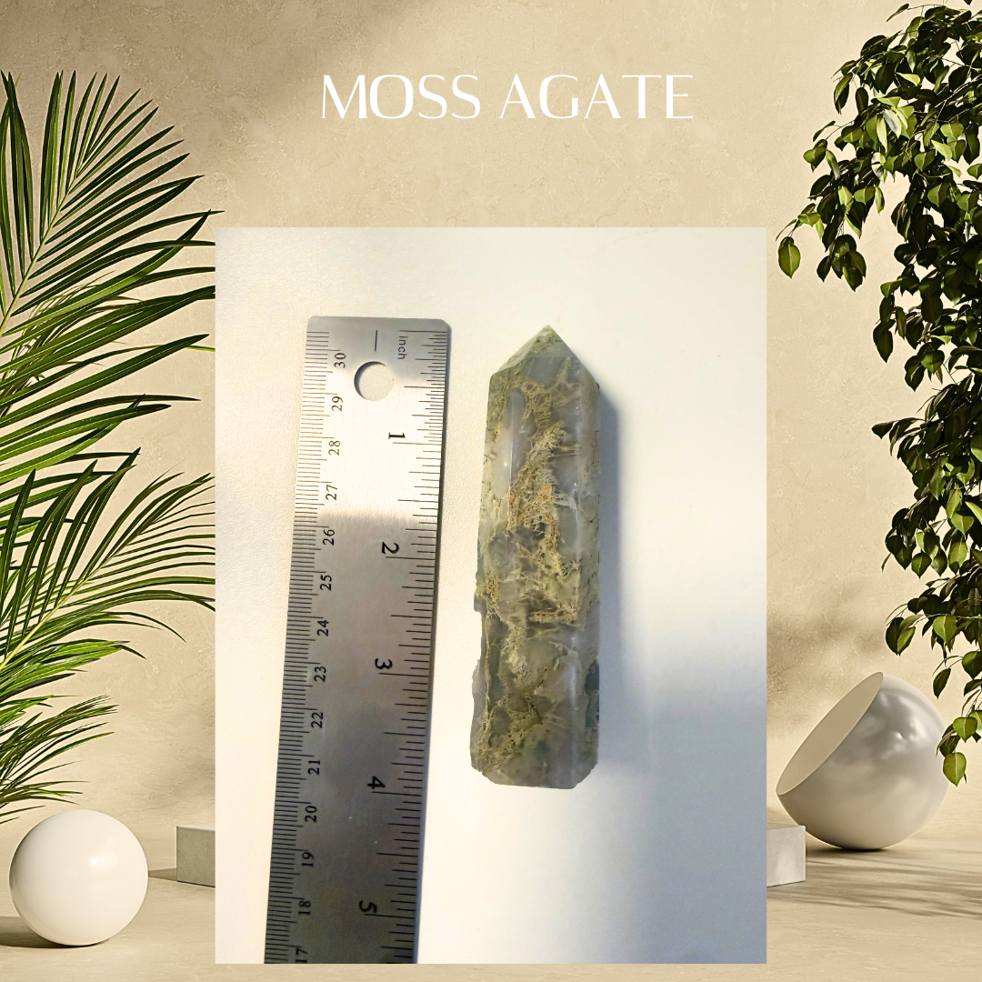 Moss agate stone with a ruler for scale, surrounded by plants on a neutral background
